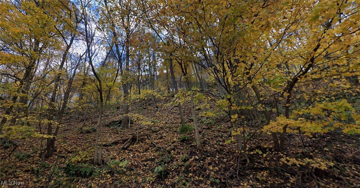 Tbd Middle Run Road Chester, WV 26034 - Photo 1 of 1 View of local wilderness featuring a wooded view