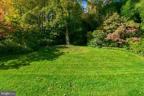 a view of a big yard with plants and large trees