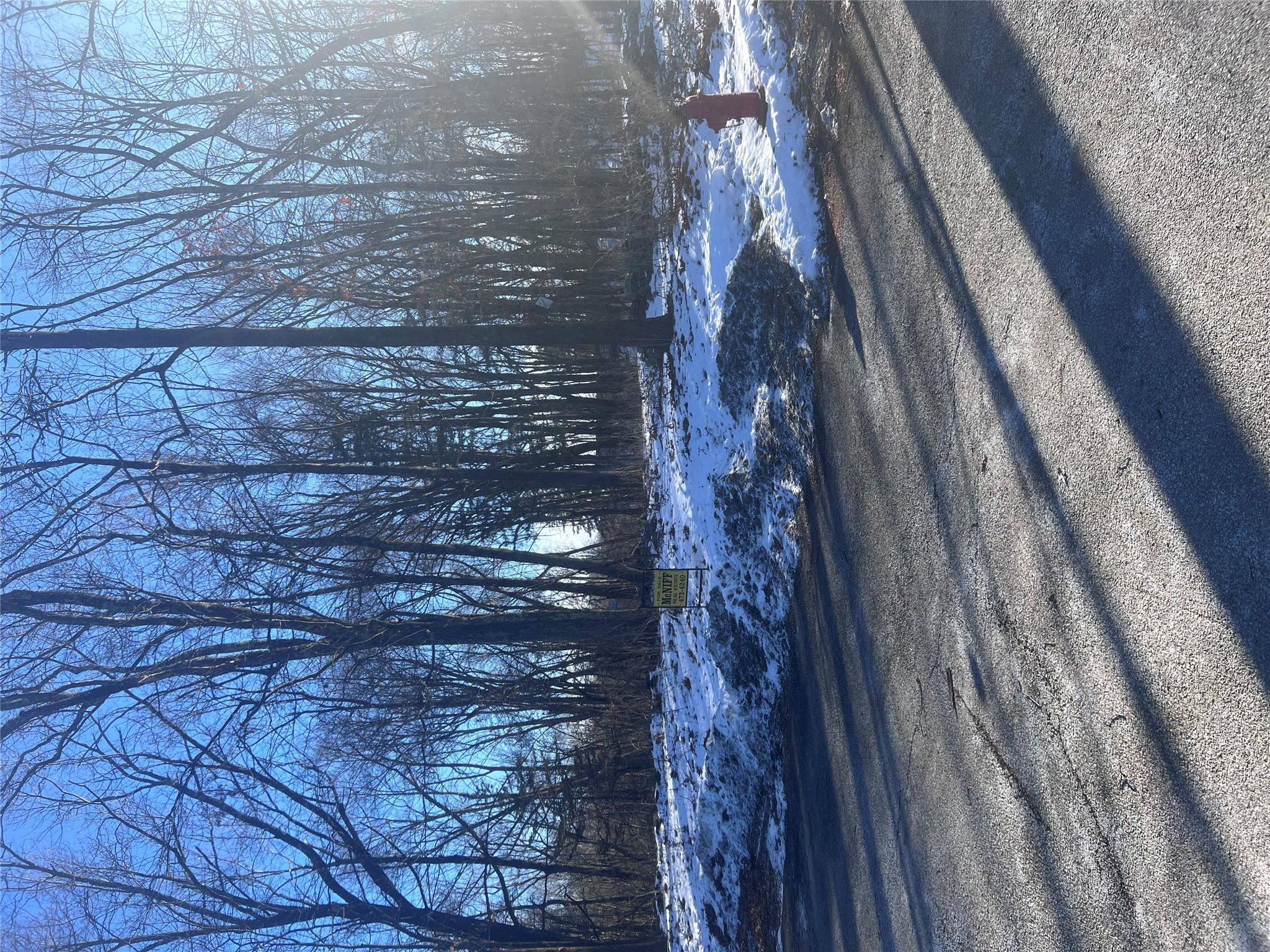 Titusville Road Wappingers Falls, NY 12590 - Photo 1 of 1 View of road