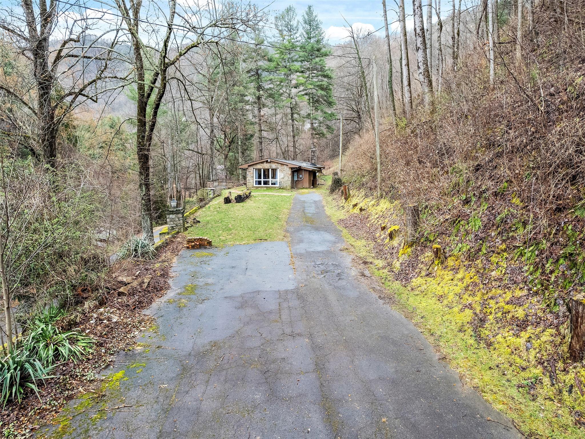 159 Rockwood Road Waynesville, NC 28786 - Photo 6 of 25 Gallery Image 6