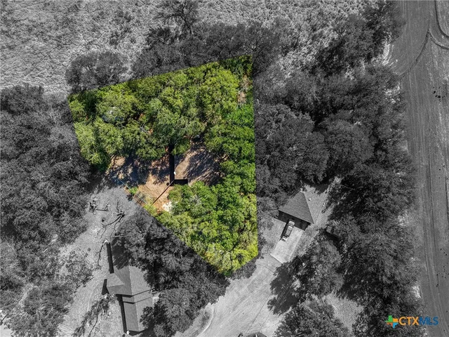 a plant that is in a garden