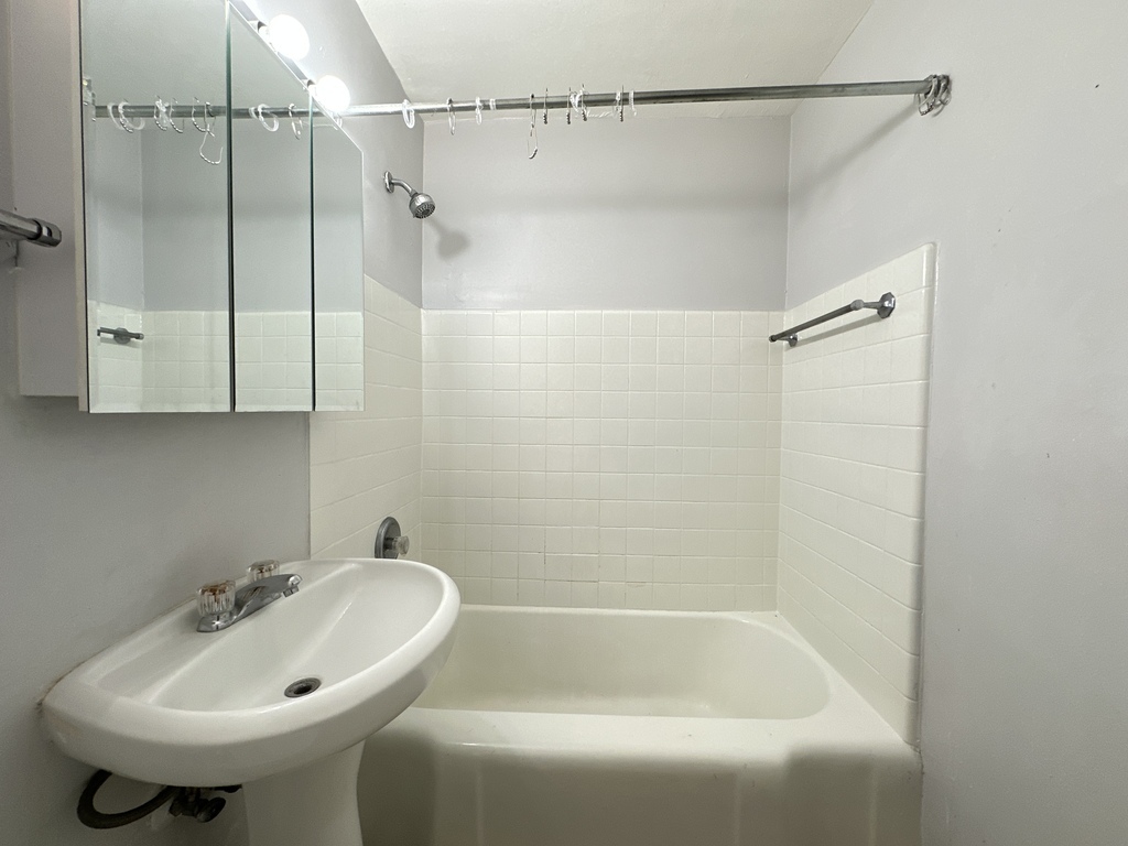 1040 West Hollywood Avenue, Unit 520 Chicago, IL 60660 - Photo 18 of 20 a bathroom with a sink and shower