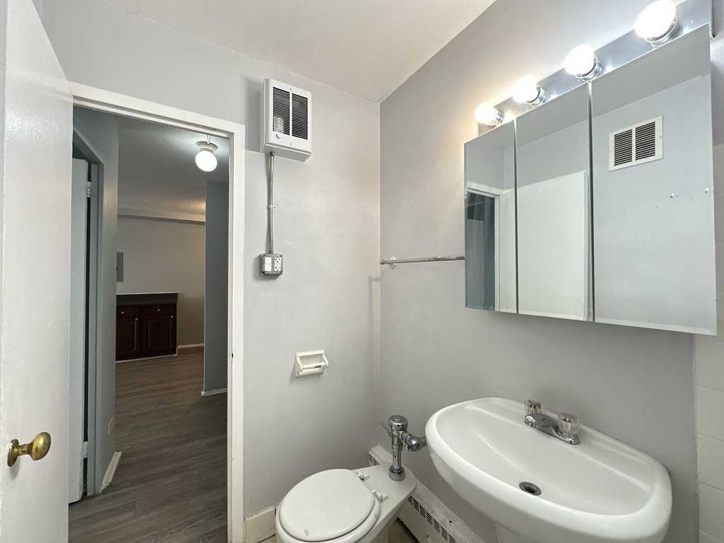 1040 West Hollywood Avenue, Unit 520 Chicago, IL 60660 - Photo 19 of 20 a bathroom with a sink toilet and shower