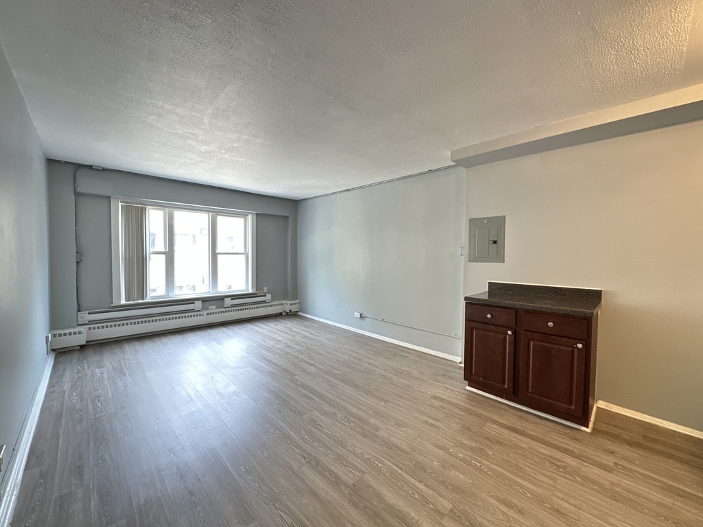 1040 West Hollywood Avenue, Unit 520 Chicago, IL 60660 - Photo 10 of 20 an empty room with wooden floor and window
