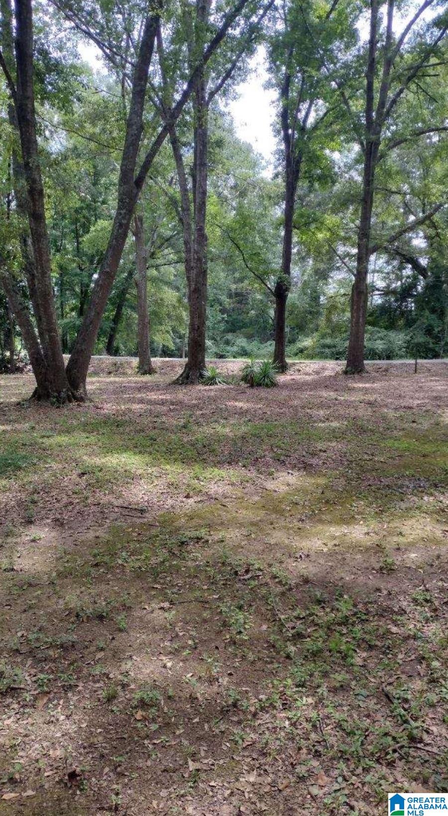 104 Adriane Street Clanton, AL 35045 - Photo 16 of 39
