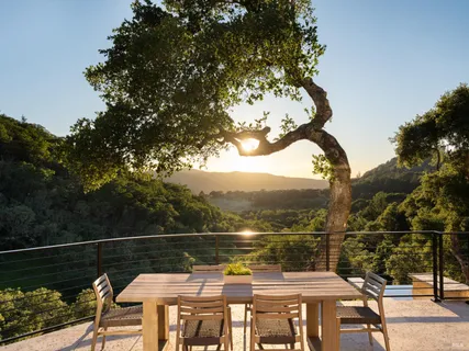 a view of a terrace with couches and wooden floor