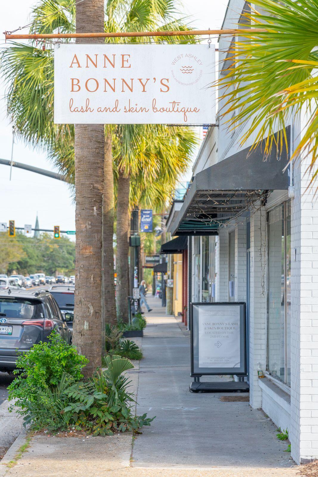 12 Stratford Road Charleston, SC 29407 - Photo 23 of 27 Avondale Streetscape