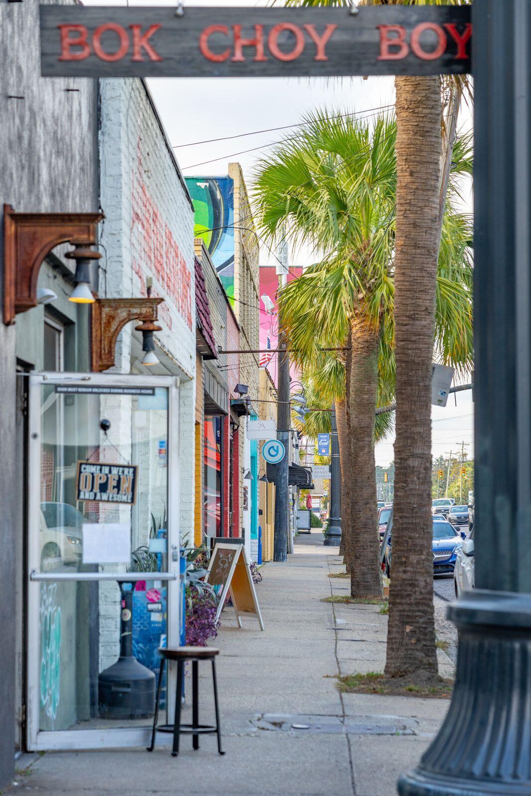 12 Stratford Road Charleston, SC 29407 - Photo 24 of 27 Bok Choy