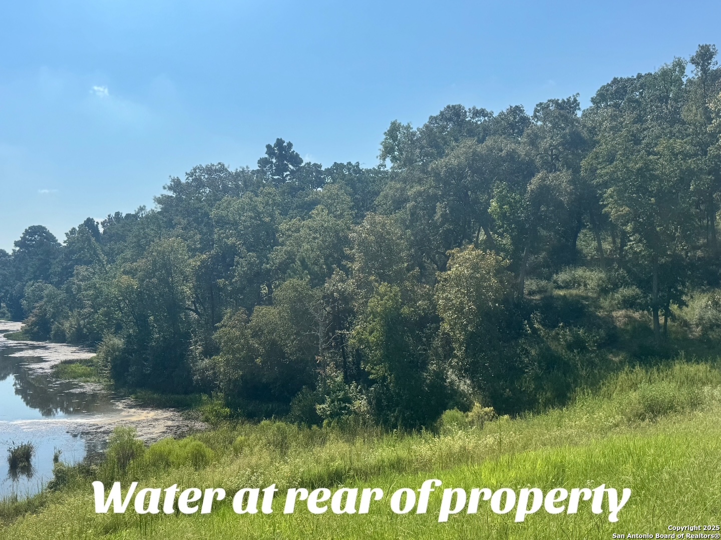 Lot 155 Pr 1311 Centerville, TX 75833 - Photo 12 of 18