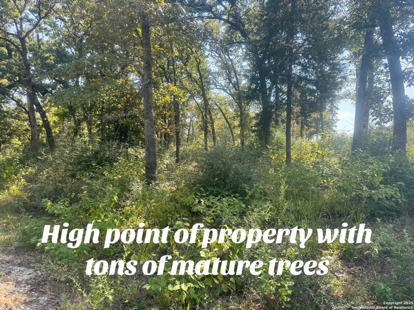 Lot 155 Pr 1311 Centerville, TX 75833 - Photo 13 of 18