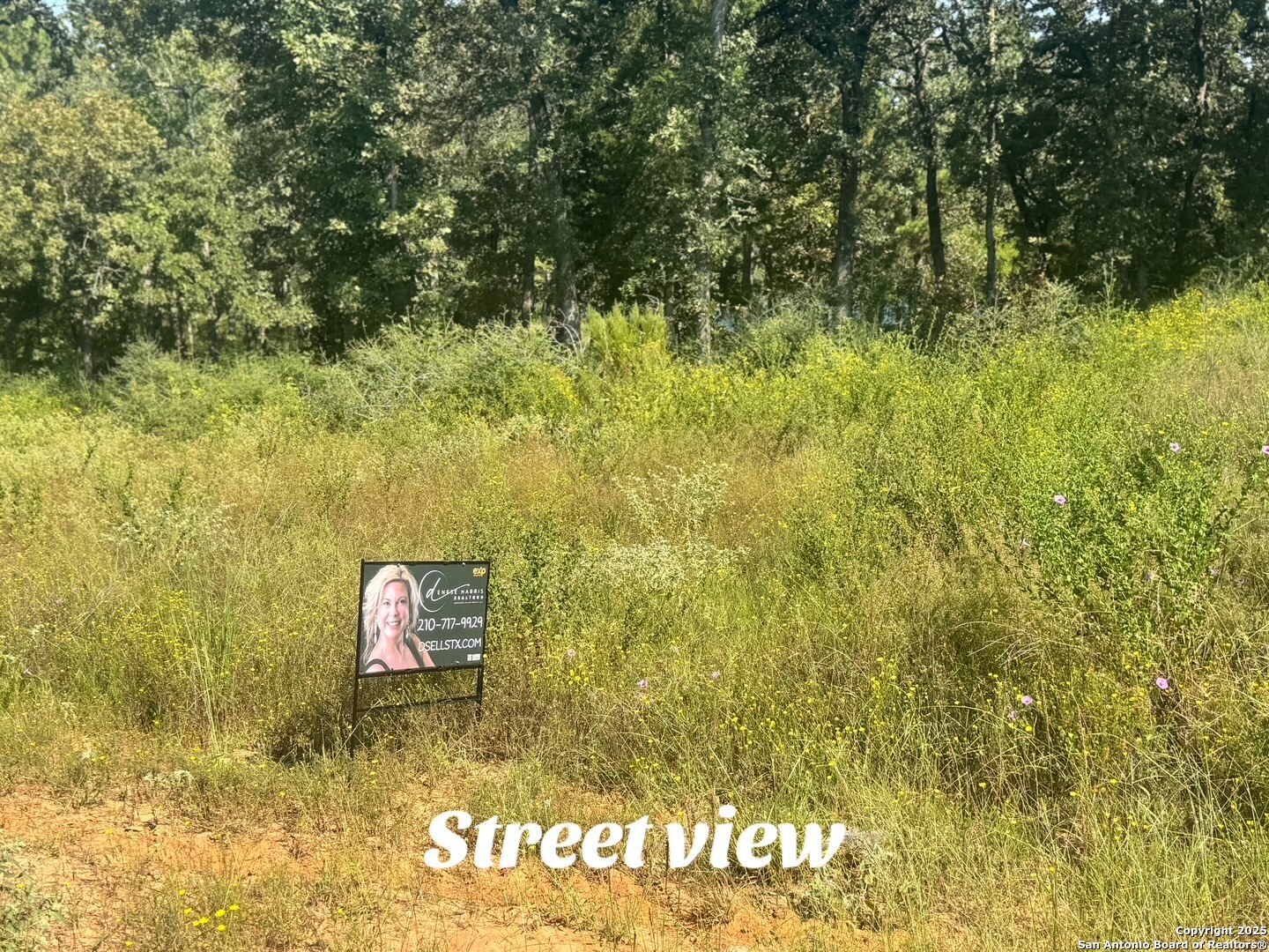 Lot 155 Pr 1311 Centerville, TX 75833 - Photo 14 of 18