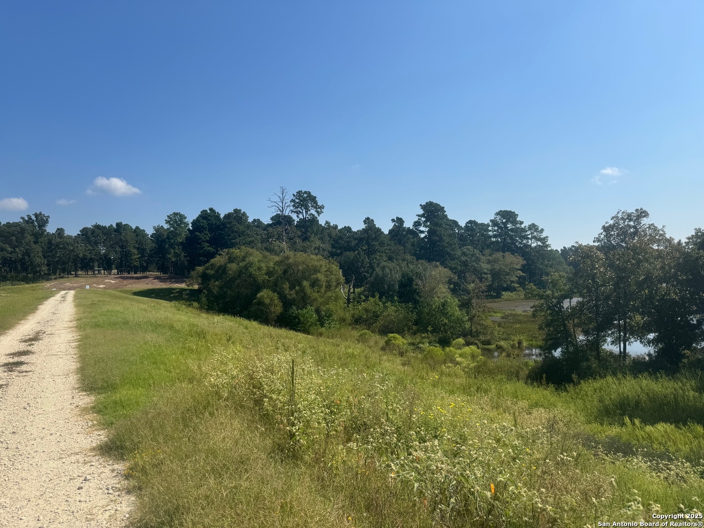 Lot 155 Pr 1311 Centerville, TX 75833 - Photo 17 of 18