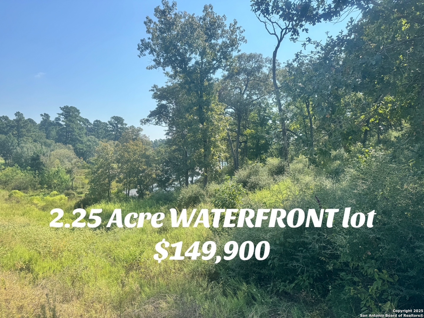 Lot 155 Pr 1311 Centerville, TX 75833 - Photo 18 of 18