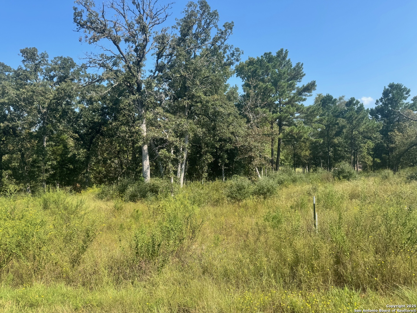 Lot 155 Pr 1311 Centerville, TX 75833 - Photo 5 of 18