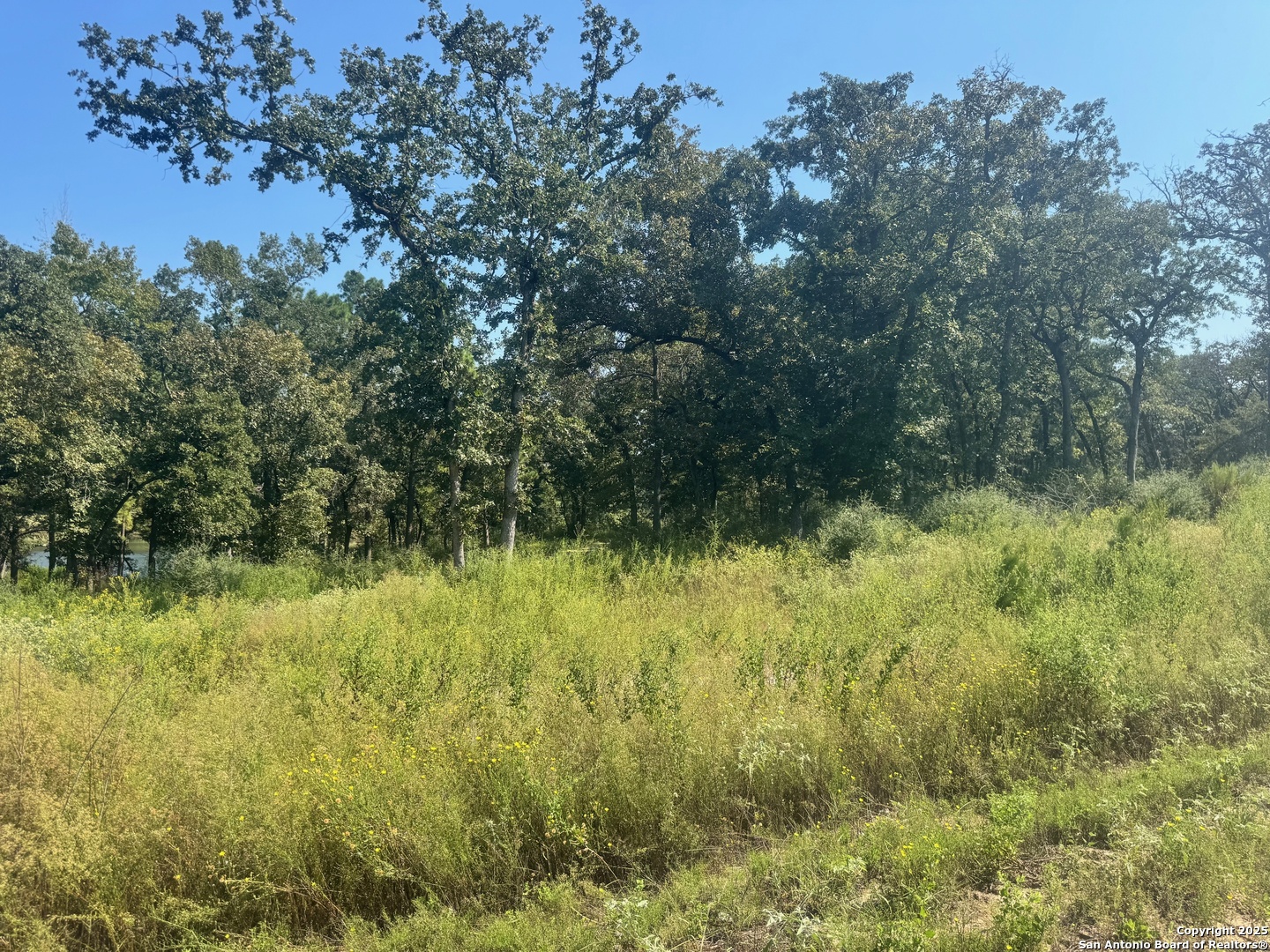 Lot 155 Pr 1311 Centerville, TX 75833 - Photo 6 of 18