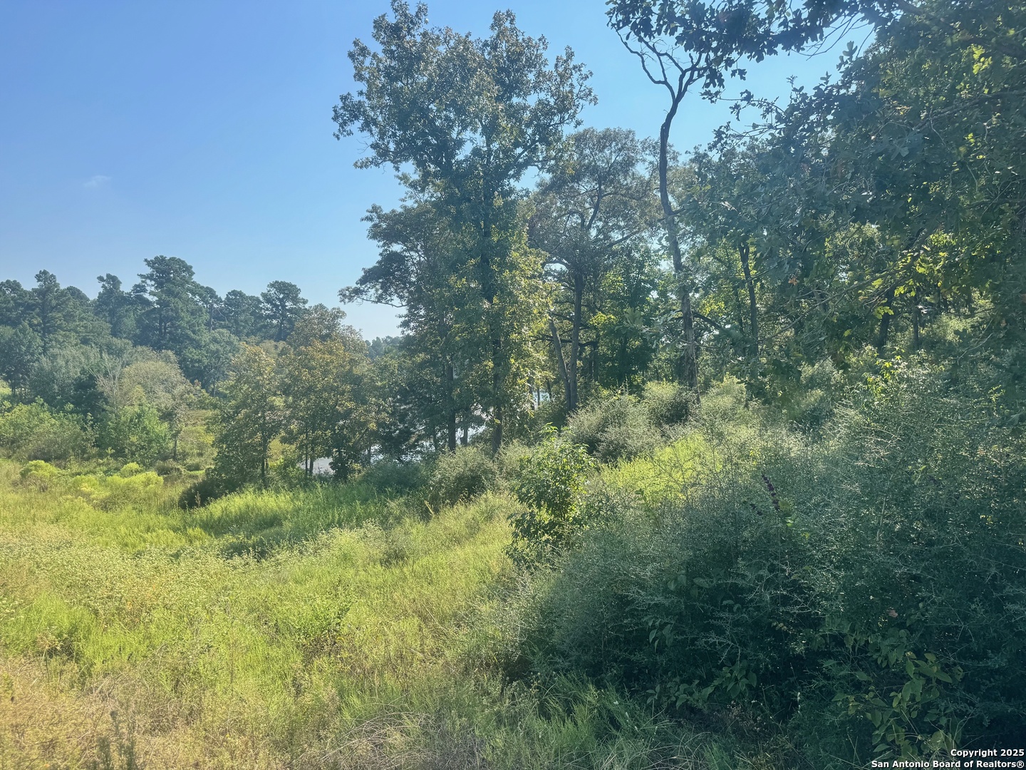 Lot 155 Pr 1311 Centerville, TX 75833 - Photo 9 of 18