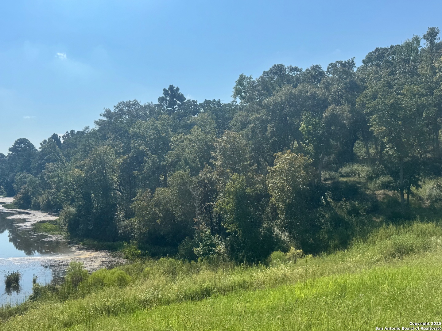 Lot 155 Pr 1311 Centerville, TX 75833 - Photo 10 of 18