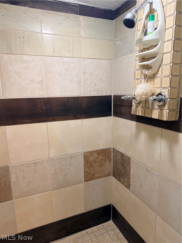 15381 Howe Road Strongsville, OH 44136 - Photo 49 of 50 basement bath