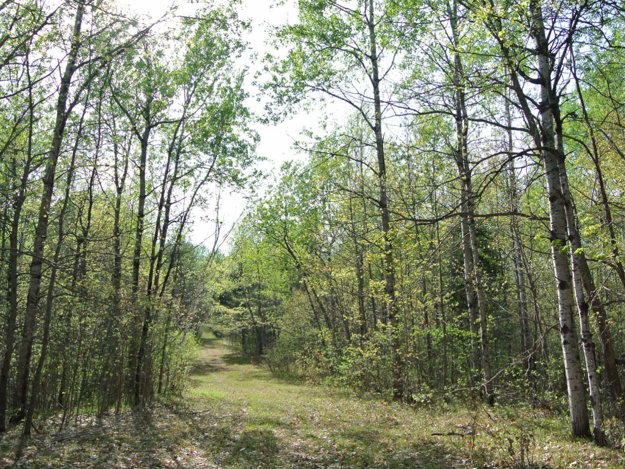 101-ac Sutton Road Minocqua, WI 54548 - Photo 33 of 35 Gallery Image 33
