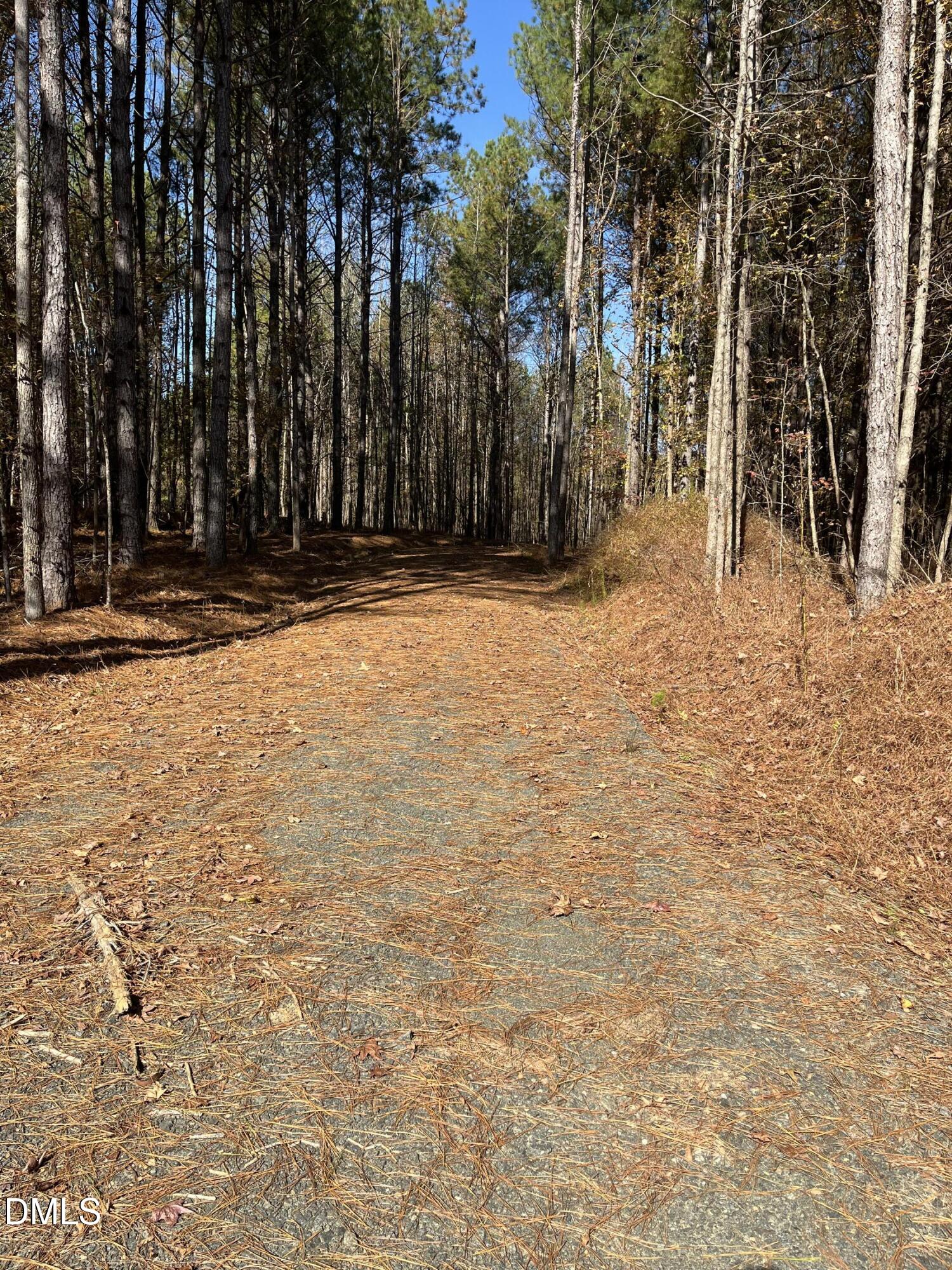 7409 Guess Road Hillsborough, NC 27278 - Photo 3 of 13 a view of swimming pool with an outdoor space