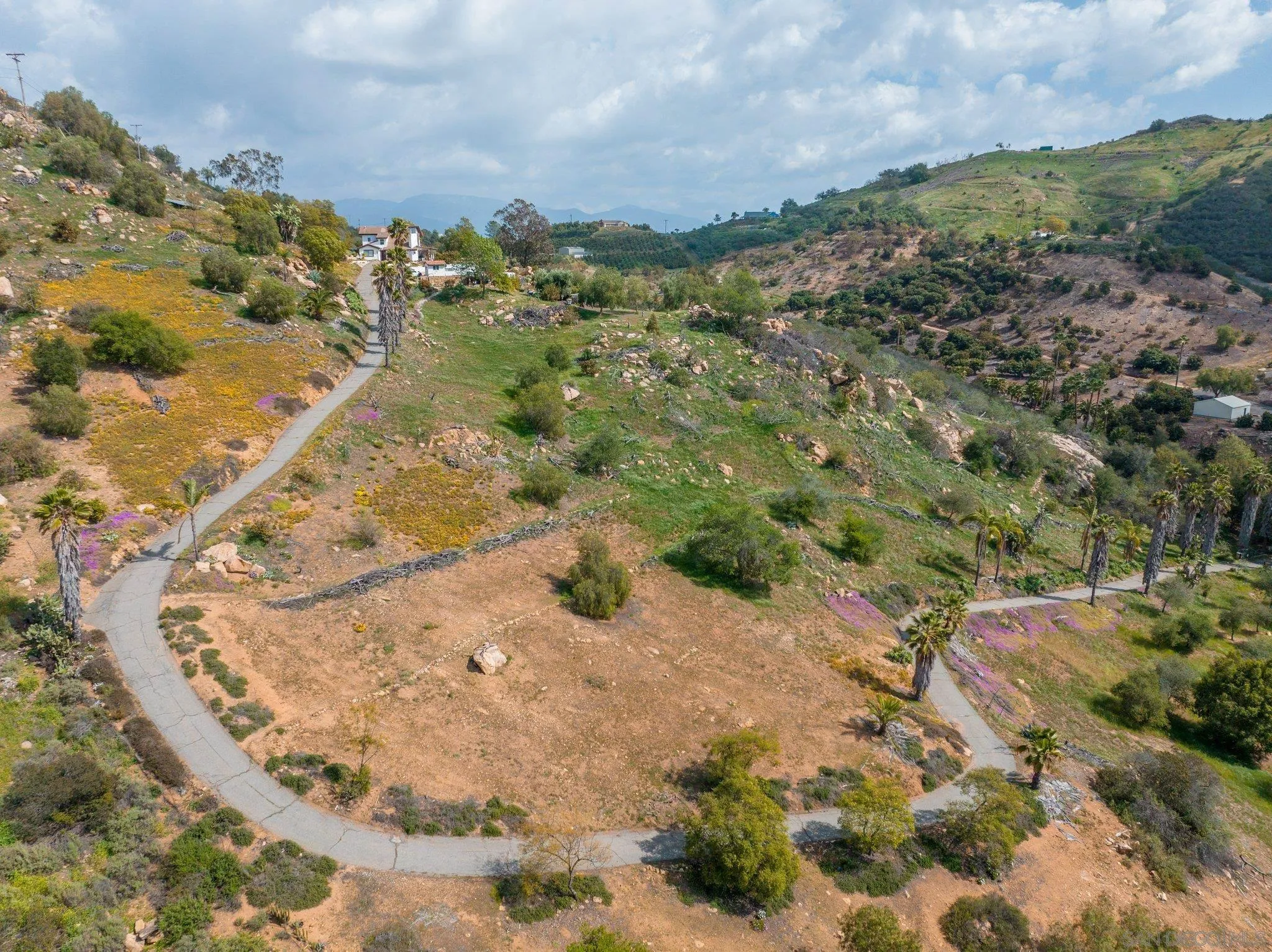 9202 Moon Ridge Road Fallbrook, CA 92028 - Photo 13 of 44 a view of a yard with a mountain