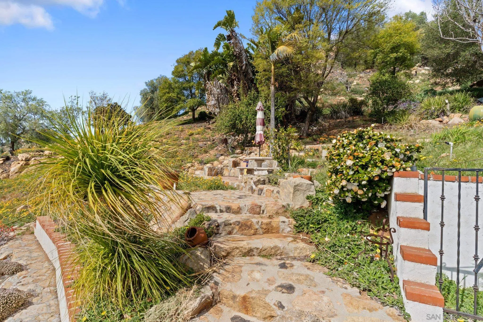 9202 Moon Ridge Road Fallbrook, CA 92028 - Photo 27 of 44 a view of a garden with plants