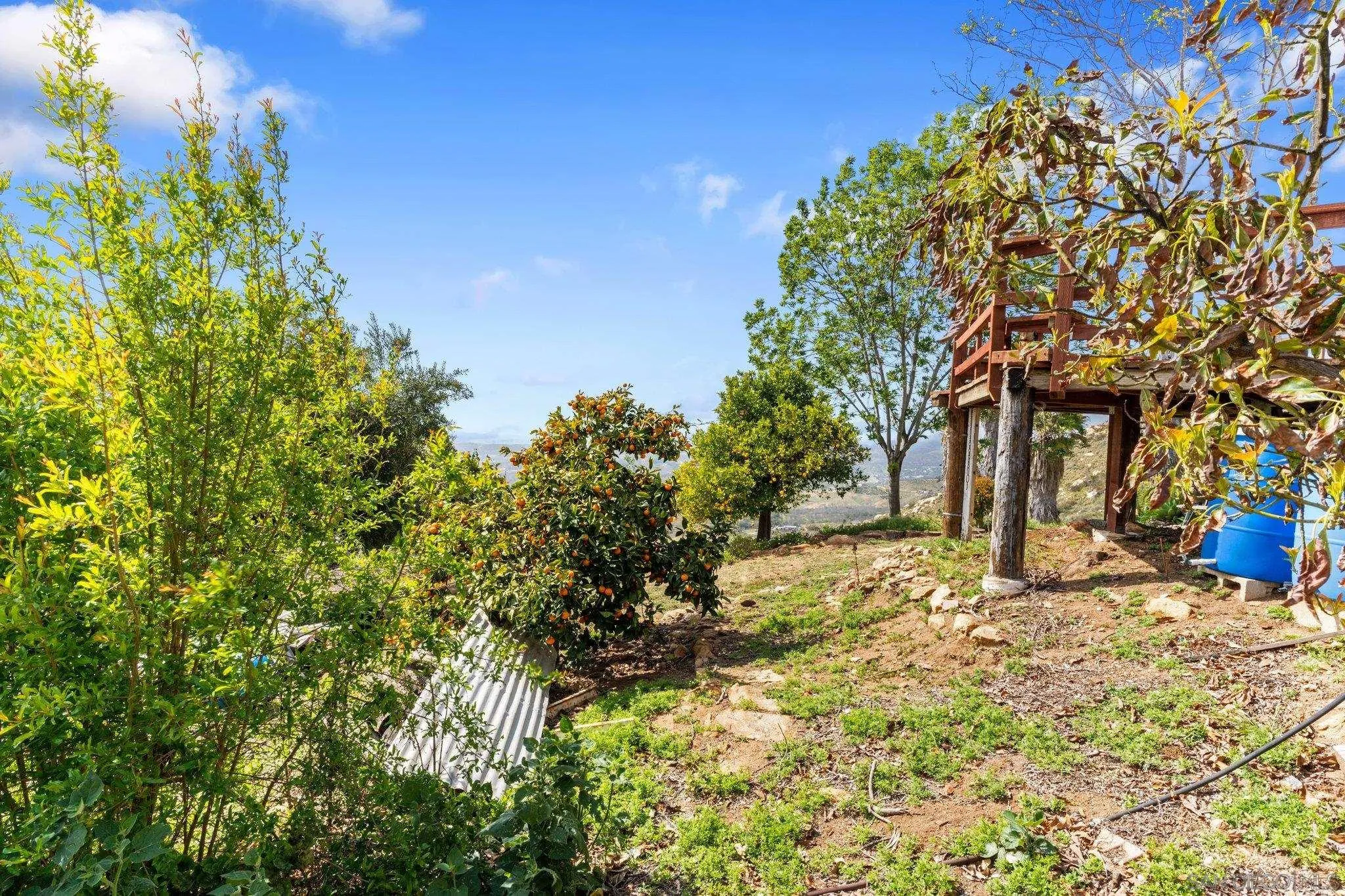 9202 Moon Ridge Road Fallbrook, CA 92028 - Photo 33 of 44 a yellow house with trees in front of it