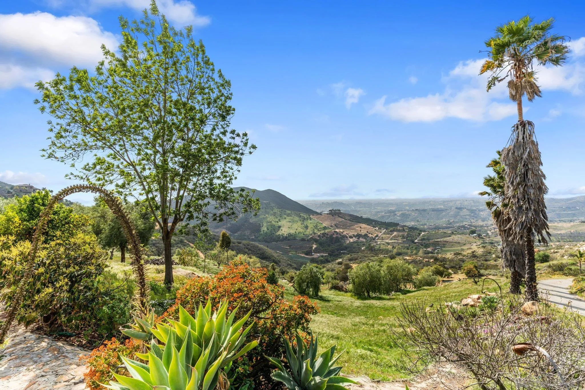 9202 Moon Ridge Road Fallbrook, CA 92028 - Photo 42 of 44 a view of a lake with a mountain in the background