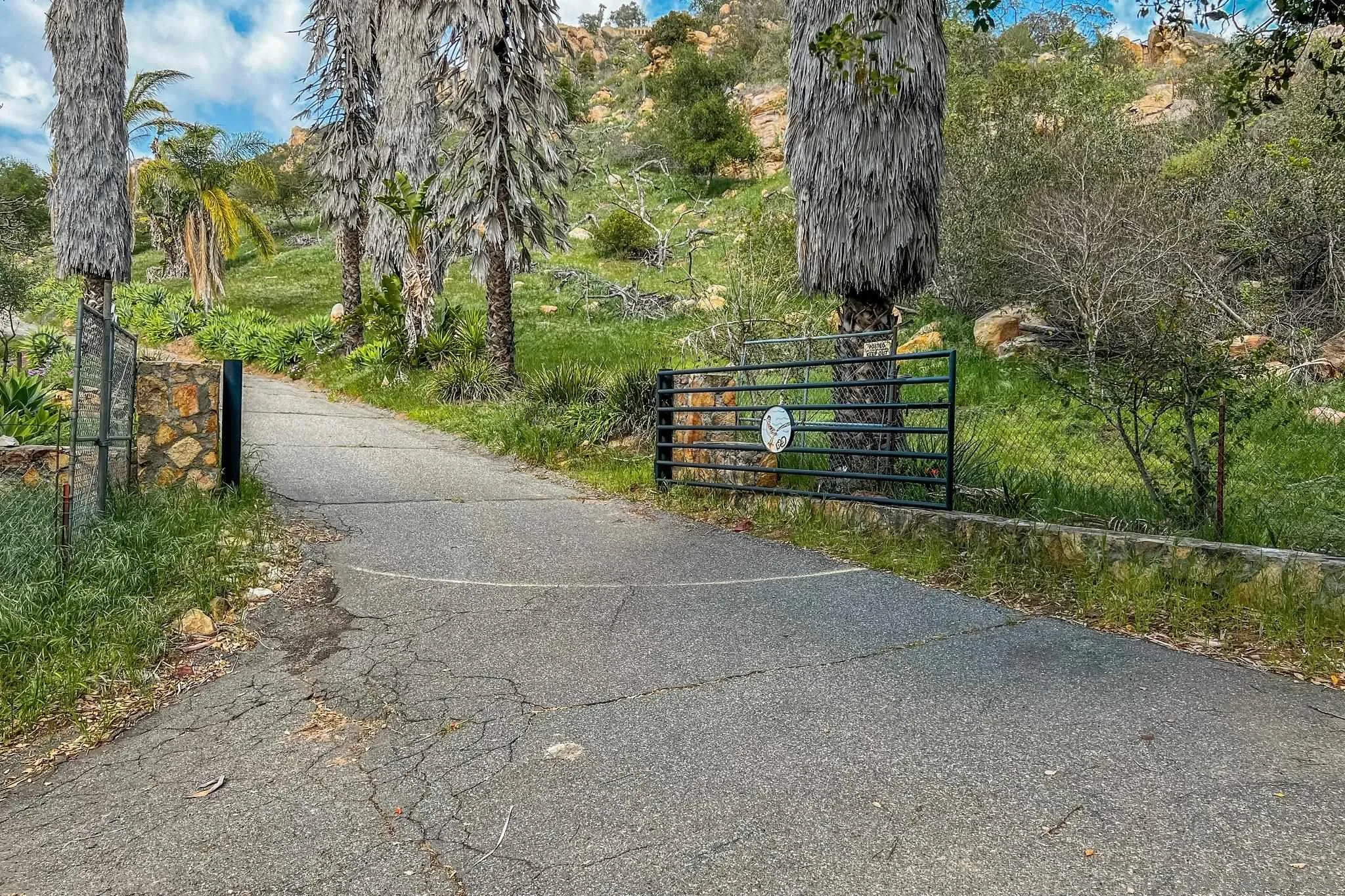 9202 Moon Ridge Road Fallbrook, CA 92028 - Photo 43 of 44 a view of a street with large trees