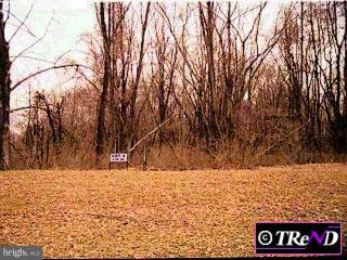4 Lower Mountain Road Buckingham, PA 18912 - Photo 1 of 1