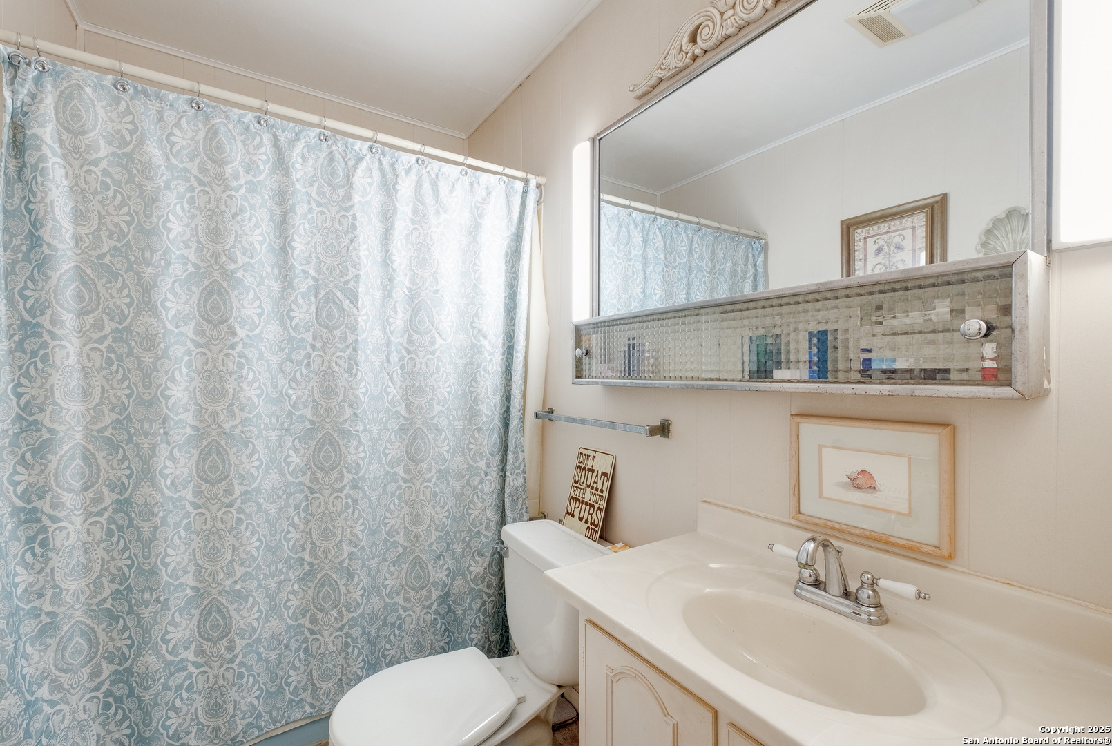 461 Highway 173 Devine, TX 78016 - Photo 13 of 27 a bathroom with a sink toilet and shower
