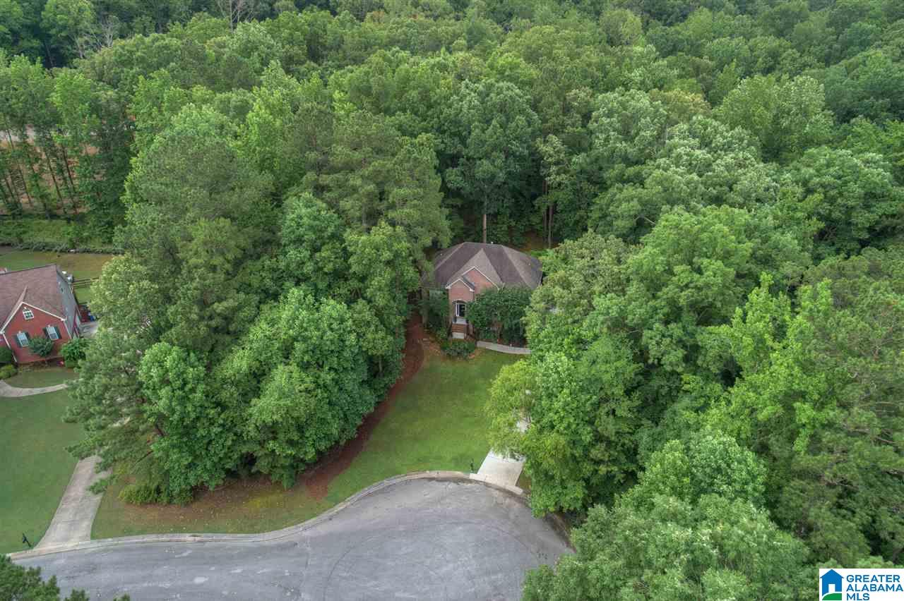 135 Brynhurst Drive Chelsea, AL 35043 - Photo 29 of 37