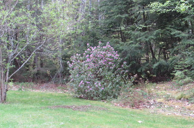 96 Town Farm Road Lincoln, ME 04457 - Photo 27 of 28 96 town farm rd Lincoln 027