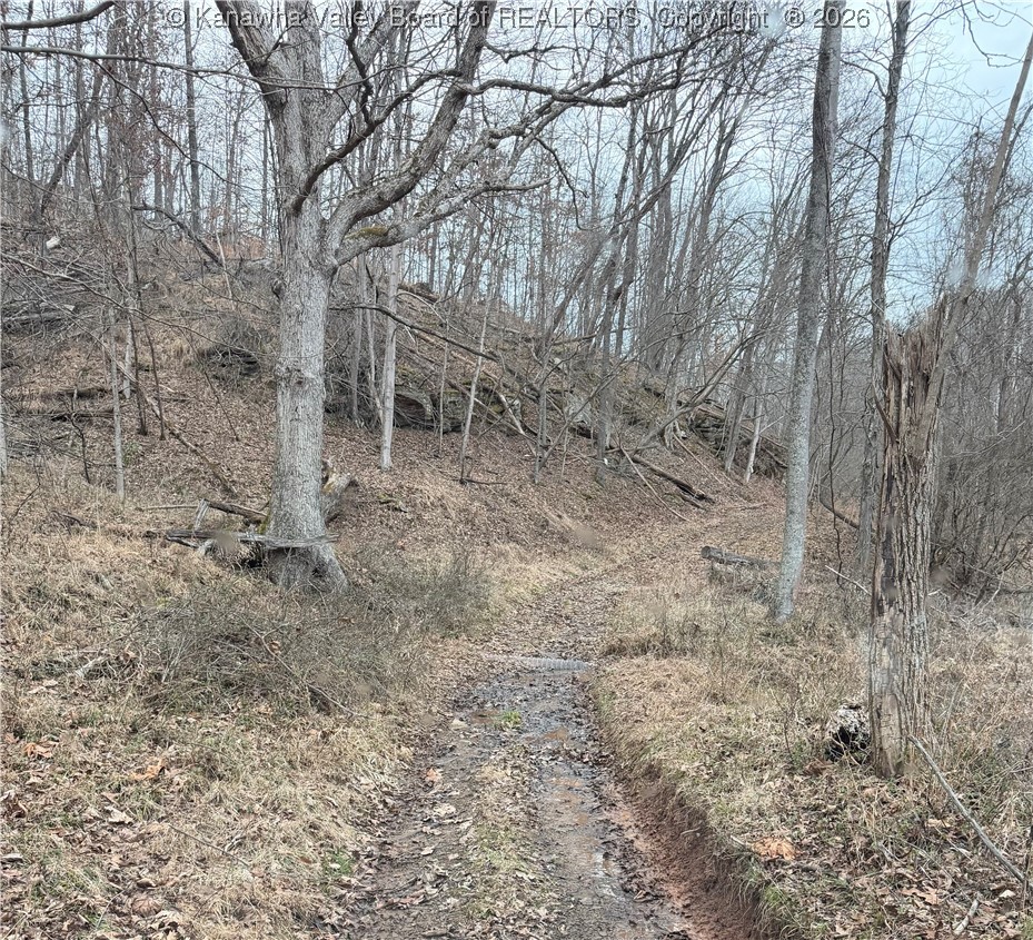 0 Red Brush Run Road Ravenswood, WV 26164 - Photo 9 of 9 Gallery Image 9