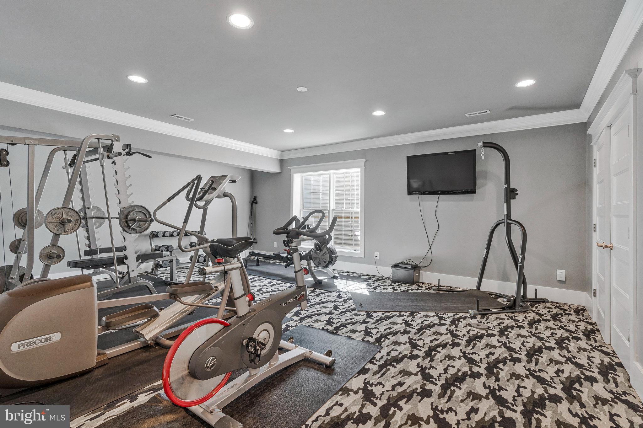 41865 Scotchbridge Place Ashburn, VA 20148 - Photo 69 of 93 a view of a room with gym equipment