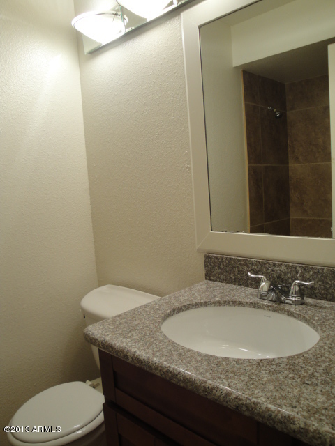 4234 East Apollo Road Phoenix, AZ 85042 - Photo 13 of 33 Hall bath