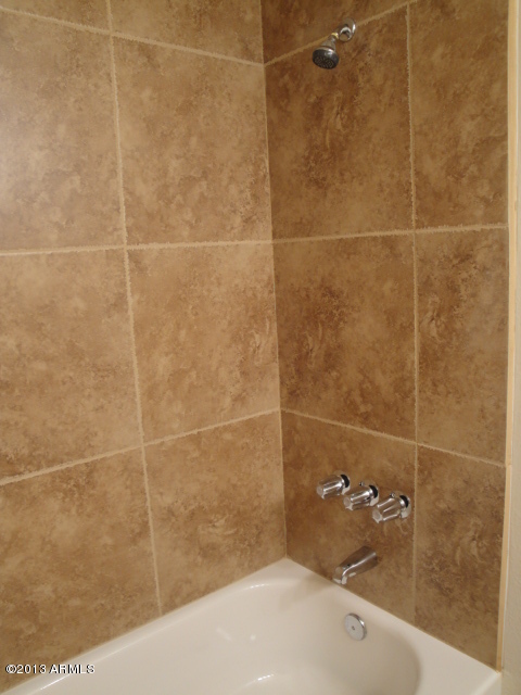 4234 East Apollo Road Phoenix, AZ 85042 - Photo 14 of 33 Hall bath
