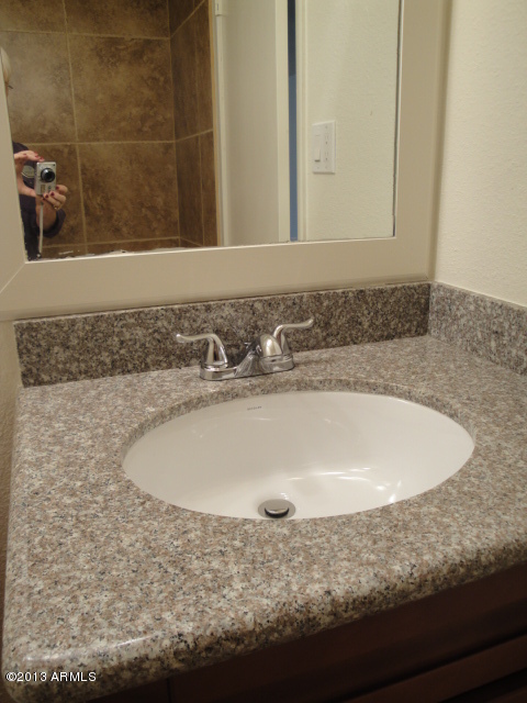 4234 East Apollo Road Phoenix, AZ 85042 - Photo 15 of 33 Hall bath