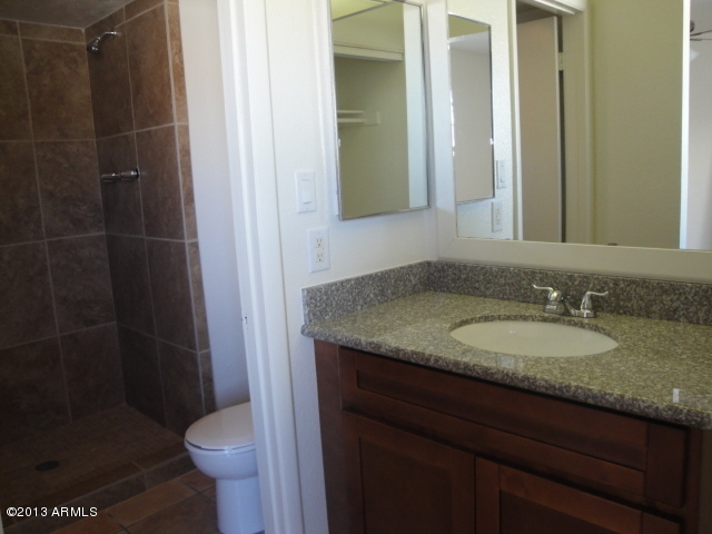 4234 East Apollo Road Phoenix, AZ 85042 - Photo 23 of 33 Master bath