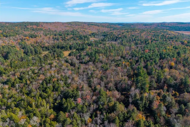 a view of a city with lush green forest