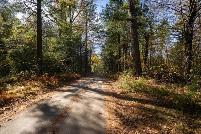 a view of backyard with tree