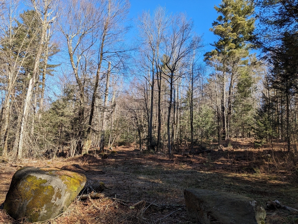 0 Sears Road Goshen, MA 01032 - Photo 6 of 18 a view of outdoor space with trees