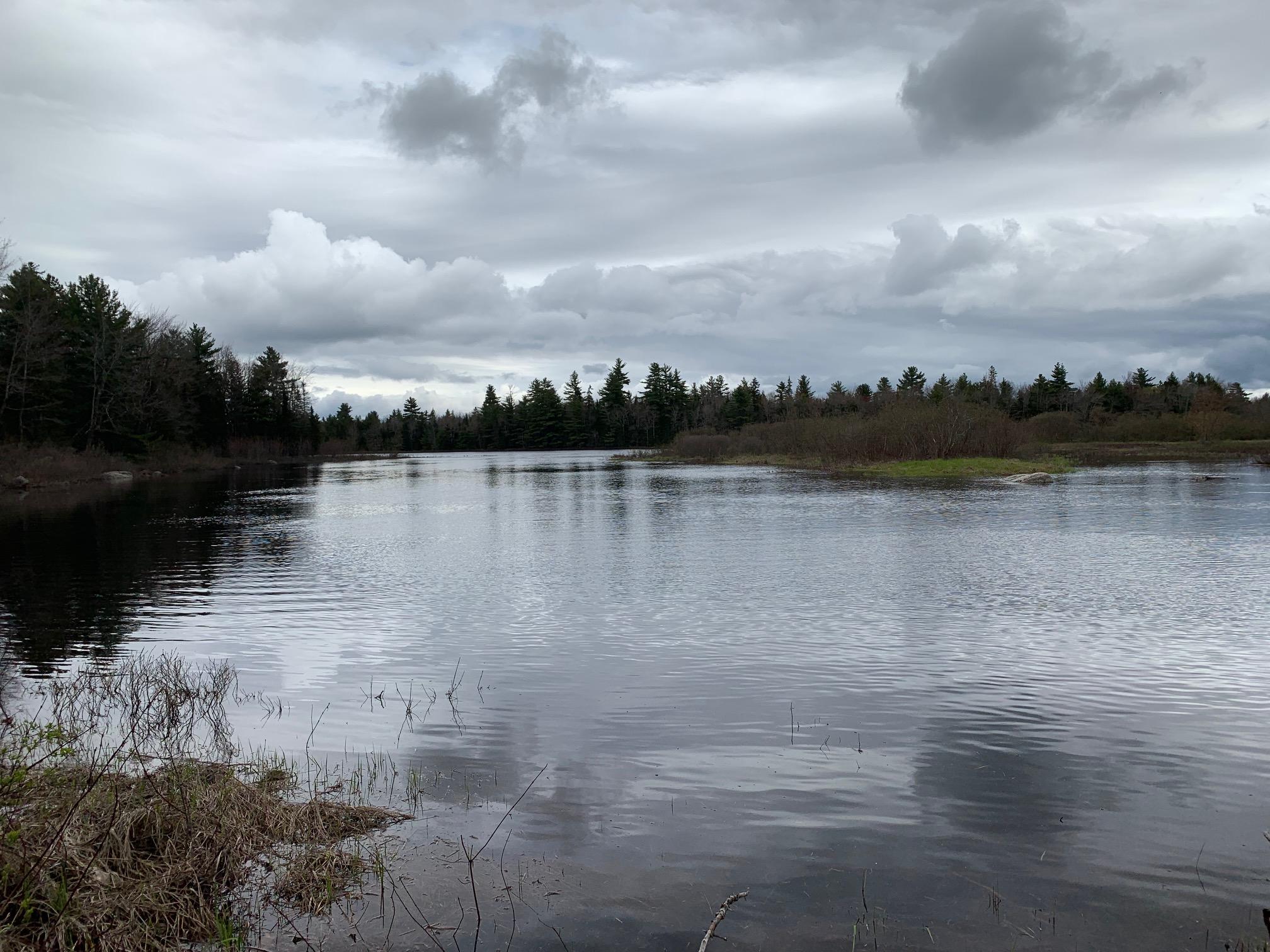 217 Tourtelotte Ridge Road Ellsworth, ME 04605 - Photo 10 of 14 217 Tour Pic 2