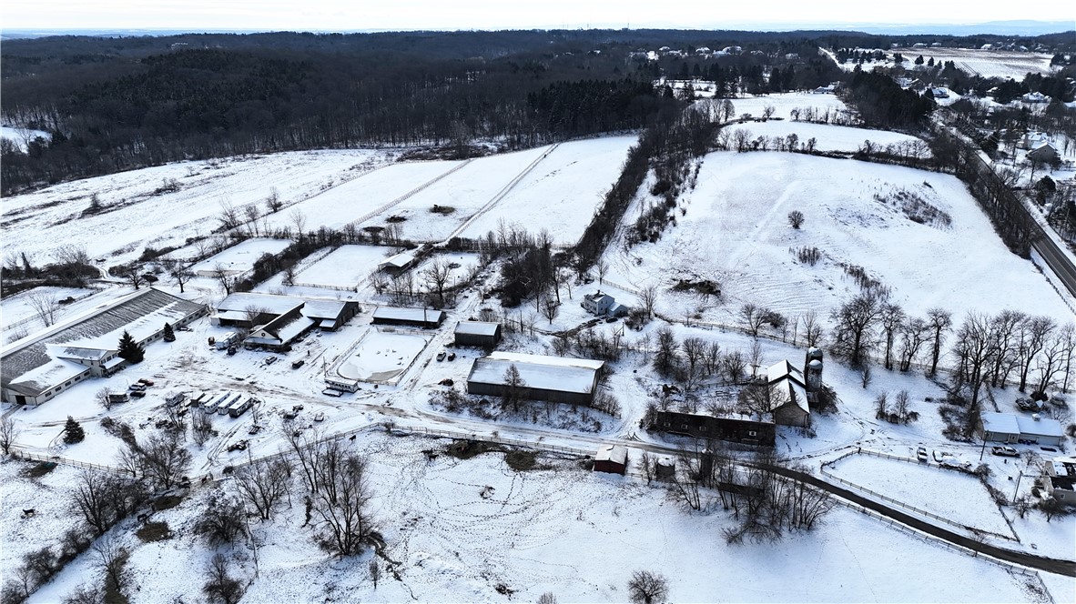 1889 Turk Hill Road Perinton, NY 14450 - Photo 3 of 6 Across the street 1