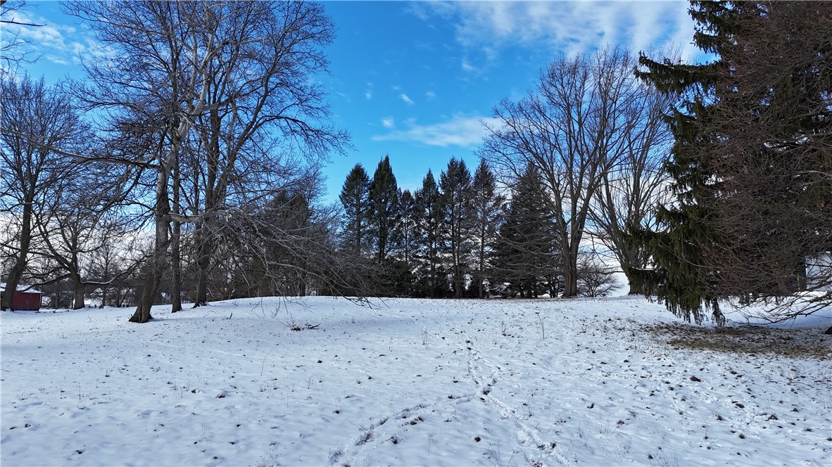 1889 Turk Hill Road Perinton, NY 14450 - Photo 5 of 6