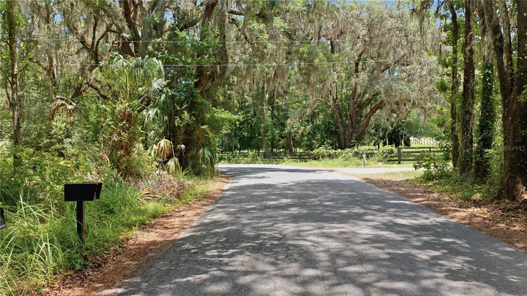 17400 Northwest 120th Ave Road Reddick, FL 32686 - Photo 16 of 37