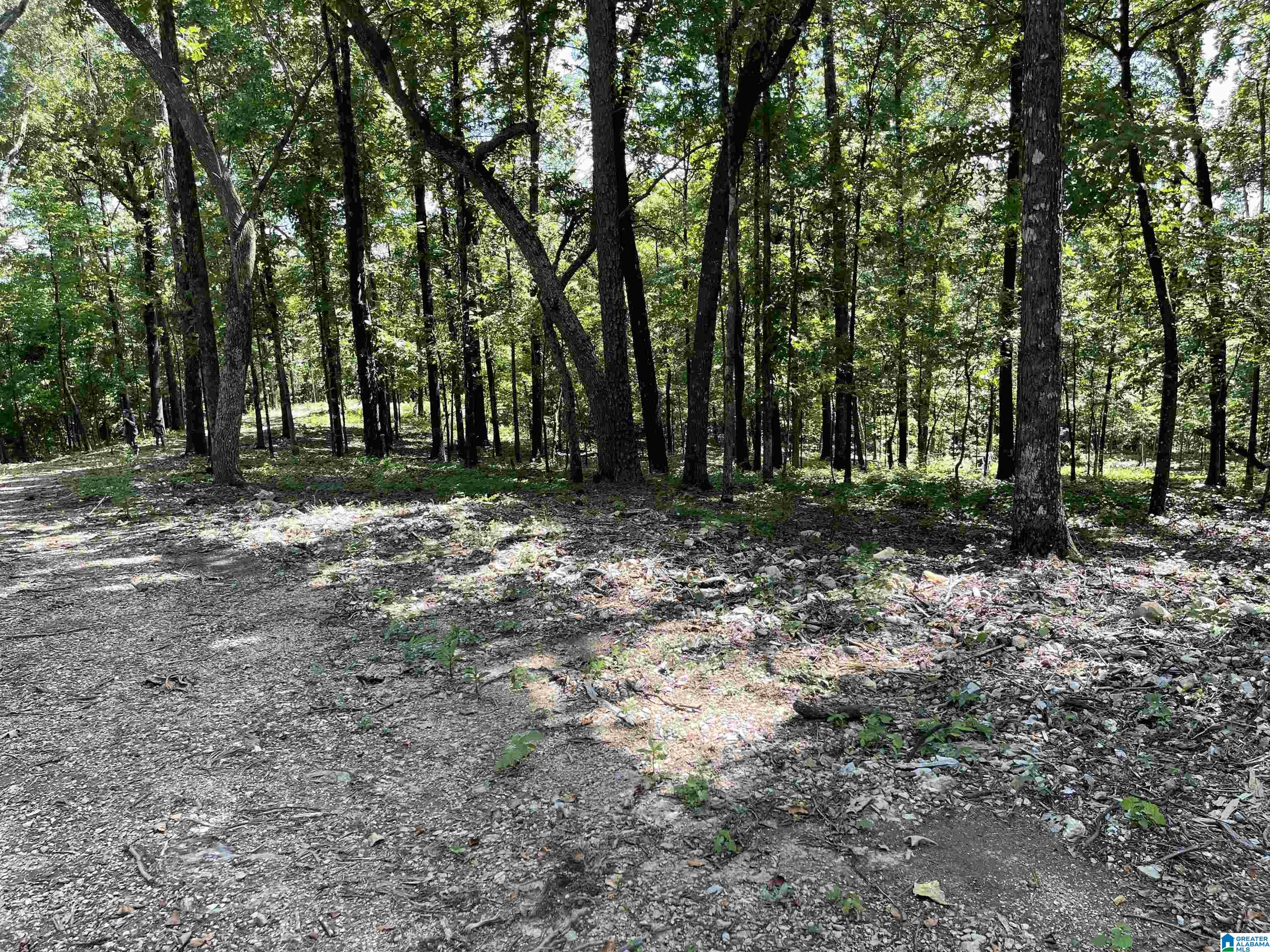 84 Rustic Drive, Unit 2 Harpersville, AL 35078 - Photo 14 of 23