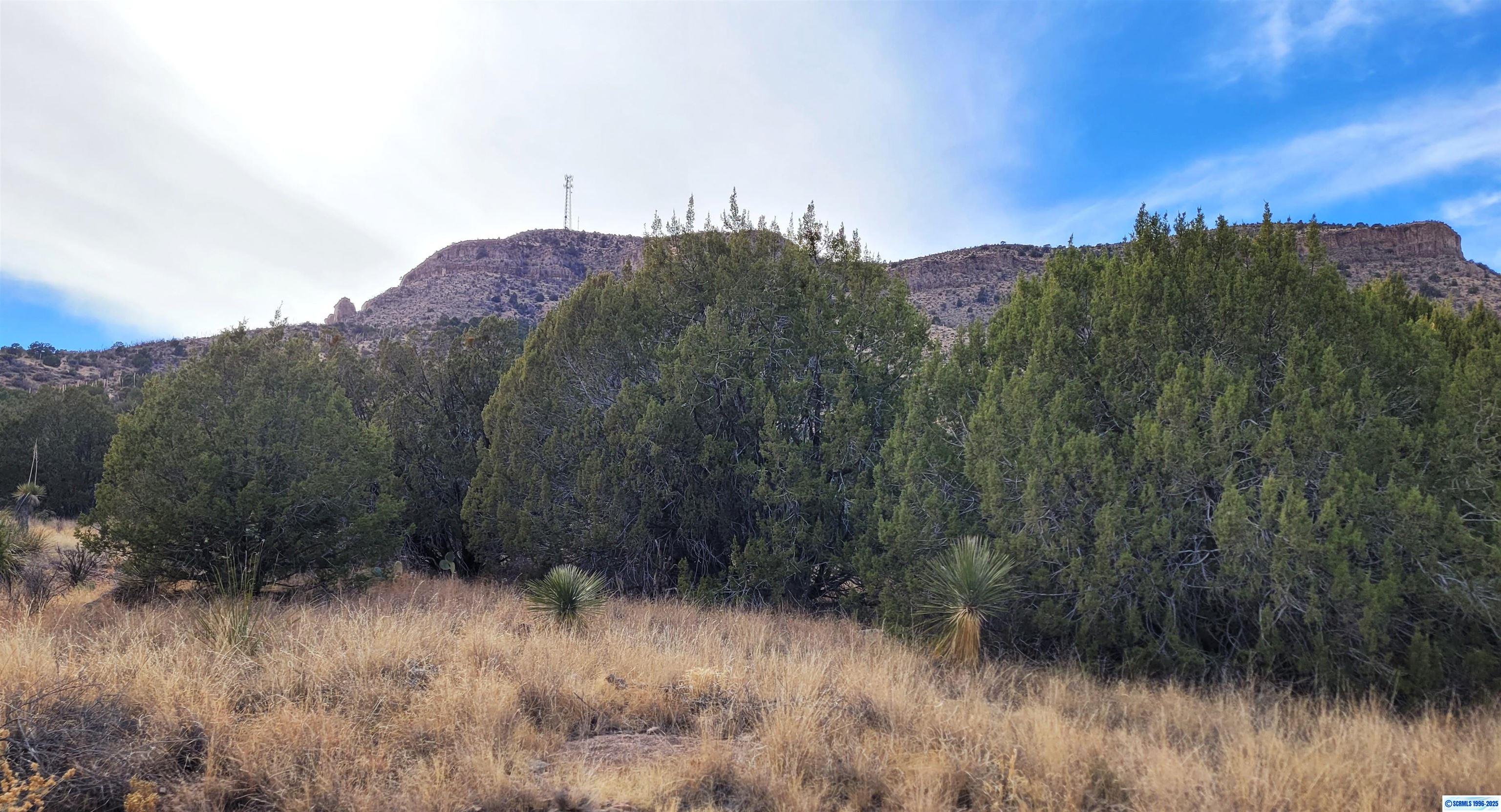 274 Manzana Rojo Road Mimbres, NM 88049 - Photo 2 of 5 Gallery Image 2