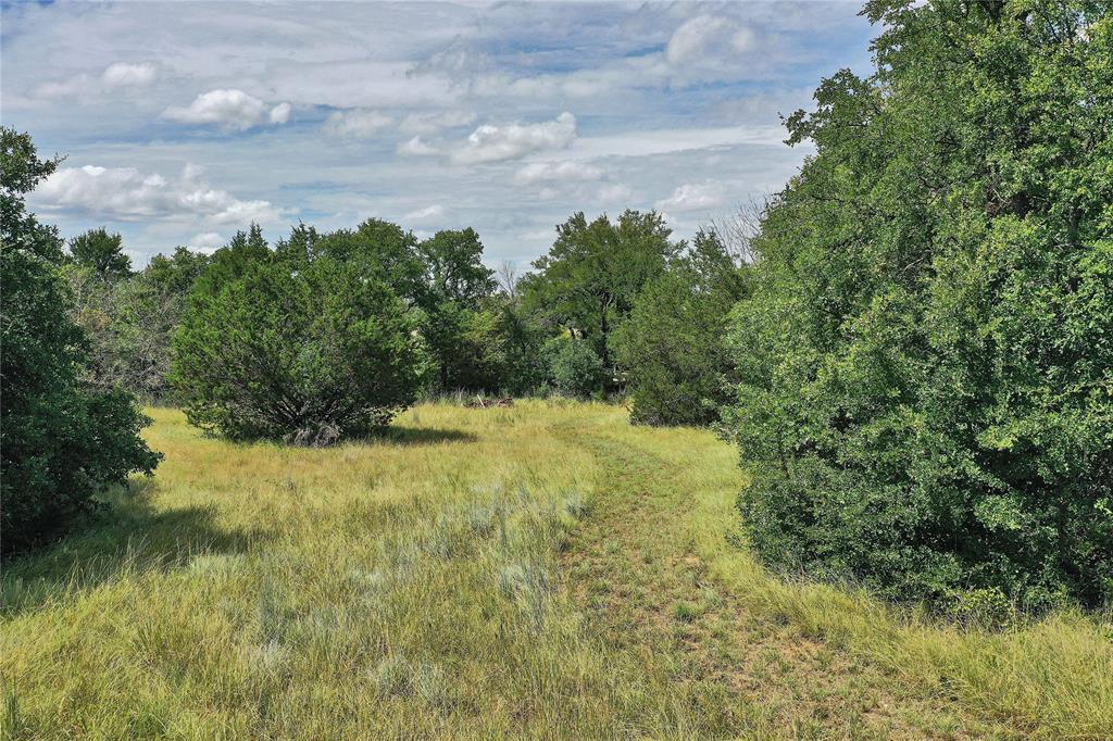 157-acres Nash Road Jacksboro, TX 76458 - Photo 5 of 40 Gallery Image 5