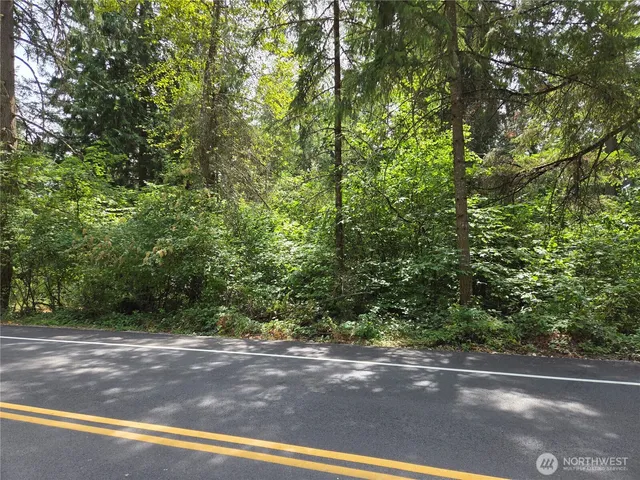 a view of a yard with a tree